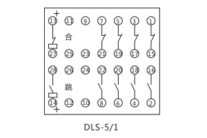 DLS-5/1接线图